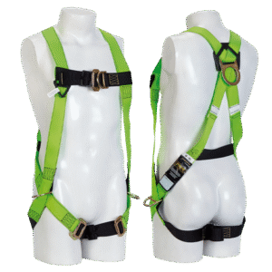 arnes-eco-verde
